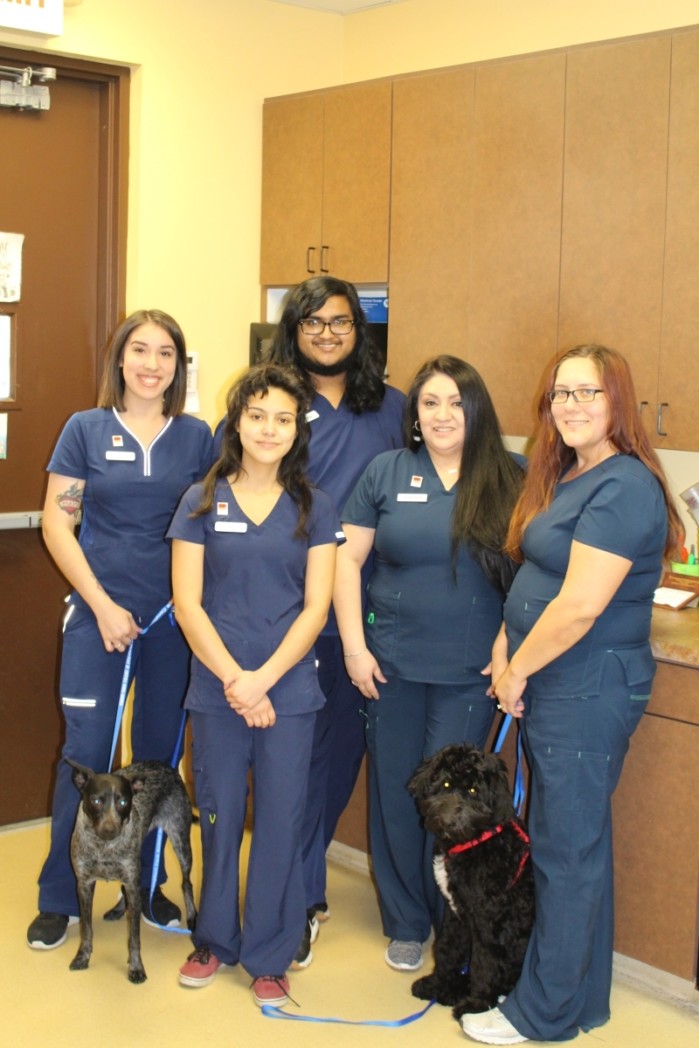 Garland-Animal-Clinic_Kennel-Staff